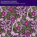 The Smashing Pumpkins - Teargarden by Kaleidyscope, Vol. 2: The Solstice Bare