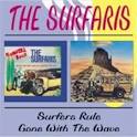 Surfers Rule/Gone with the Wave