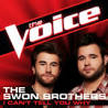The Swon Brothers - I Can't Tell You Why [The Voice Performance]