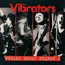 The Vibrators - Public Enemy #1