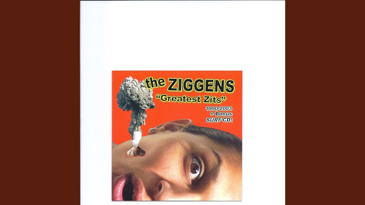The Ziggens - Breakin' the Law