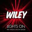 Tinchy Stryder - Lights On