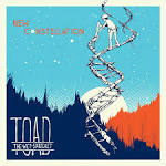 Toad the Wet Sprocket - New Constellation