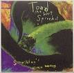 Toad the Wet Sprocket - Something's Always Wrong [3 Track]