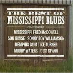 Big Joe Williams - The Best of Mississippi Blues [Fuel 2000]