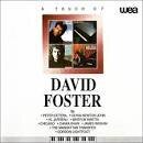 Touch of David Foster
