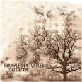 Trampled by Turtles - Duluth