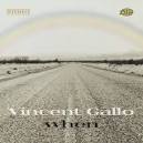 Vincent Gallo - When