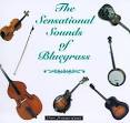 Jim & Jesse And the Virginia Boys - Sensational Sounds of Bluegrass