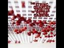 Vitamin String Quartet - The String Quartet Tribute to Peter Gabriel