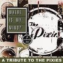 Where Is My Mind?: A Tribute to the Pixies