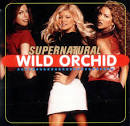 Wild Orchid - At Night I Pray [CD #2]