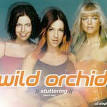 Wild Orchid - Stuttering (Don't Say)