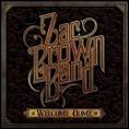 Zac Brown Band - Roots