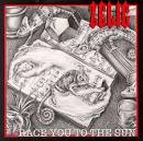 Zelig - Race You to the Sun